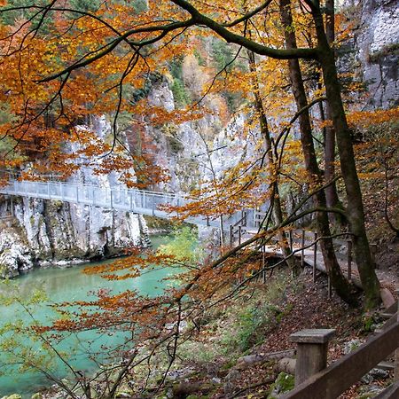 Апартаменты Beim Muehltaler Шлехинг Экстерьер фото